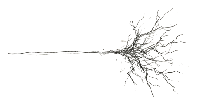 Semantic Restructuring